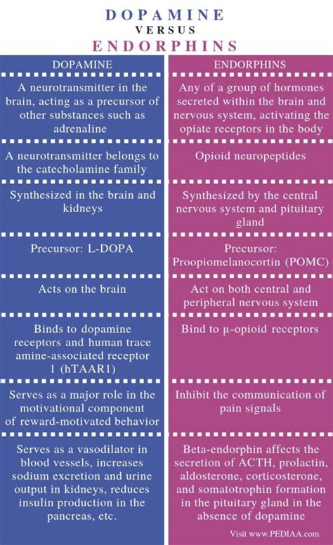 Difference Between Dopamine and Endorphins - Pediaa.Com