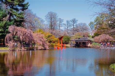 Brooklyn Botanic Garden Connects New Yorkers to the Environment