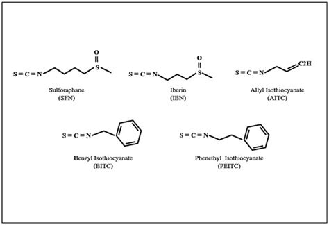 Antioxidants | Free Full-Text | The Role of Isothiocyanates as Cancer ...