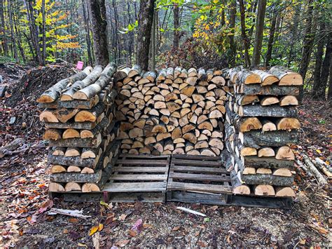 Cutting Firewood | Adventurous Way