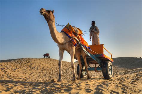 TRAVEL: See Rajasthan the regal way on Desert Circuit - INDIA New ...