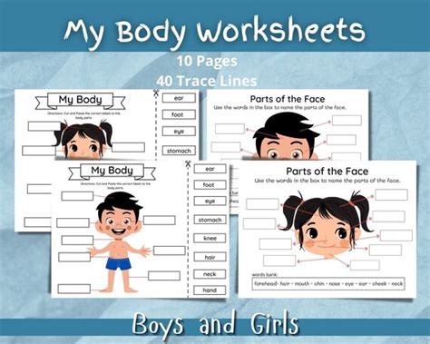 Body Parts Printable Activity for Kids Human Body Printable - Etsy