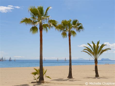 Estepona beaches, La Rada, El Cristo, El Padron & Costa Natura beaches ...