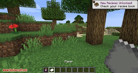 Bird Nests and Treasures Mod (1.16.5, 1.15.2) - Random Collectable ...