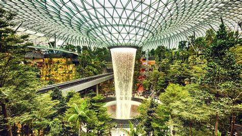 Singapore: New Jewel Changi Airport is a treat for jungle lovers ...