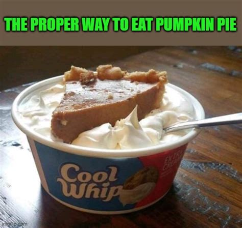 pumpkin pie Memes & GIFs - Imgflip