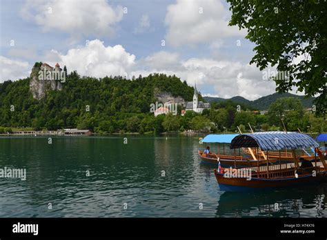 View over Lake Bled with Pletna boats Stock Photo - Alamy