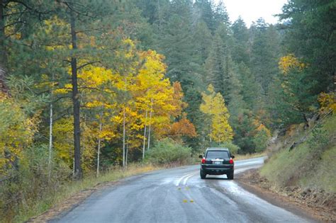 Ruidoso, NM, fall colors on Ski Run Road, October 3, 2009.… | Flickr