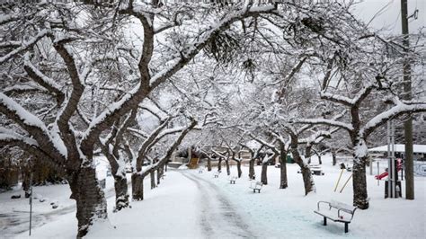 Weather warnings cover much of B.C. as bitter cold settles in and snow ...