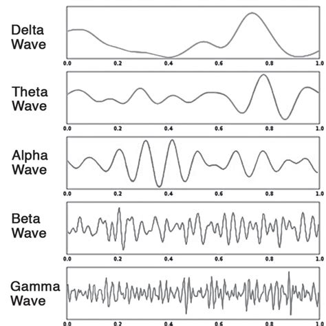 The 5 Types of Brain Waves: The Keys to Higher States of Consciousness