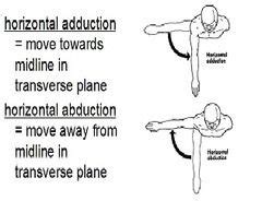 Image result for horizontal adduction | PTh Shoulder | Physiology ...