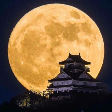 Super Moon over the castle of Gifu, Japan. | Beautiful moon, Super moon ...