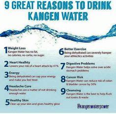 Kangen Water Machine