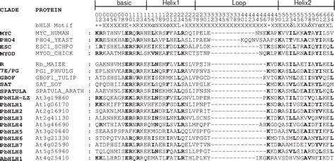 Figure 1 from Protein Evolution From Sequence To Structure. | Semantic ...