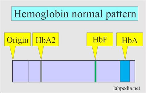 Hemoglobin:- Part 2 - Hemoglobin Electrophoresis, (Hb electrophoresis ...