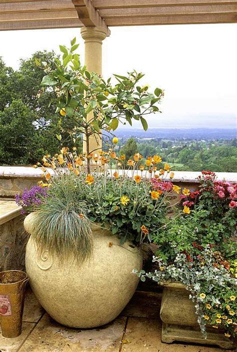 Terrace design with plants – beautiful examples and advice for you | Avso