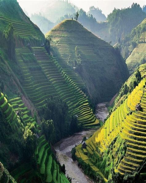 Would you come to Vietnam to see these lush & beautiful rice fields on ...