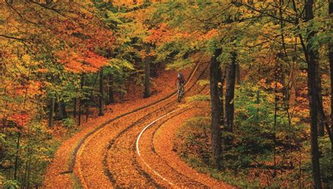 Where To See The Best Fall Foliage in Michigan - American Beautiful