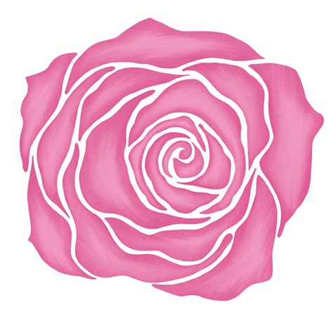 pink rose flower drawing illustration 13168262 PNG