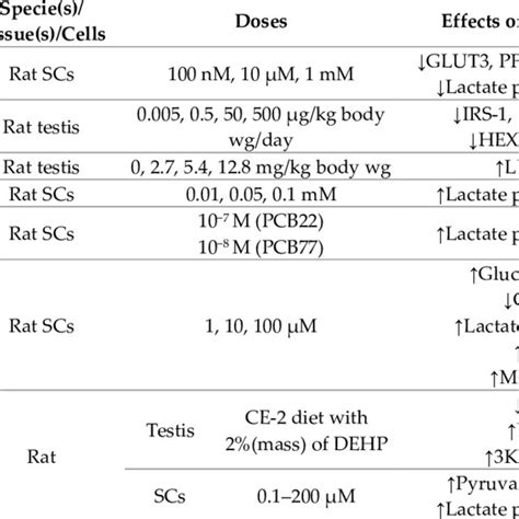 Summary the main obesogens and their proposed effects on metabolism in ...