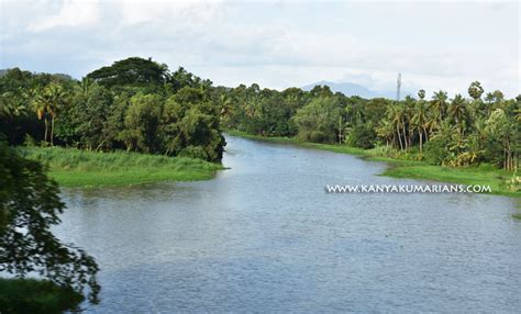 Thamirabarani River, Kuzhithurai Town, Kanyakumari district ...