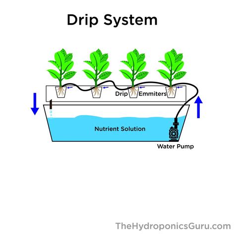 Types of Hydroponics Systems - The Hydroponics Guru