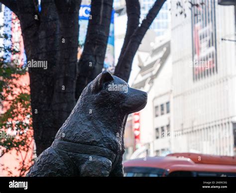 The famous Hachiko statue, located outside of Shibuya station, Tokyo ...