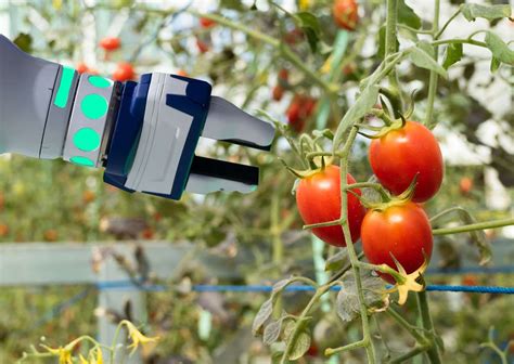 Leveraging Artificial Intelligence to Control Agriculture Robotics ...