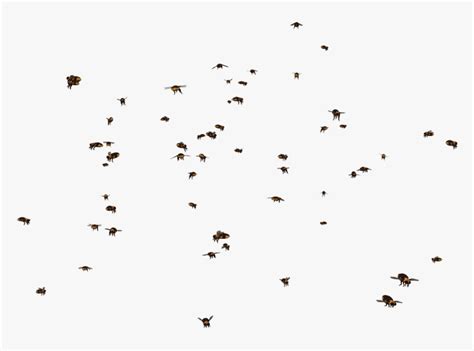 Transparent Swarm Clipart - Swarm Of Bees Png, Png Download ...