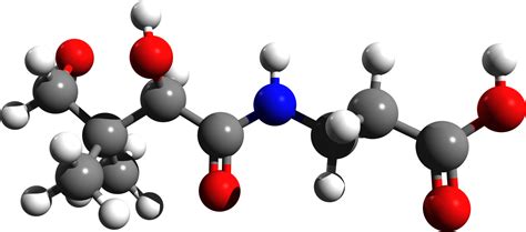 The Scientific Method - WriteWork