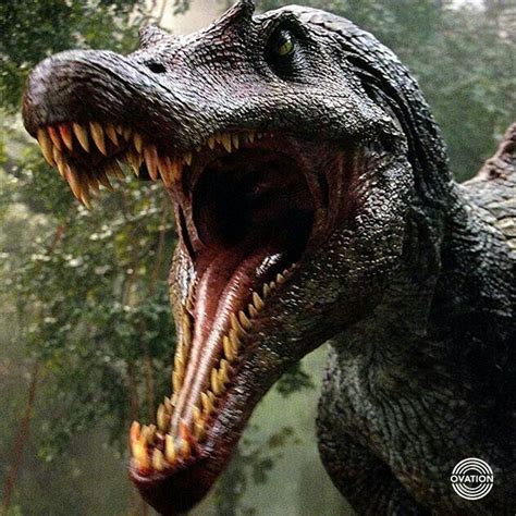 Jurassic park 3 spinosaurus | Message