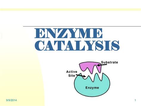 PPT - ENZYME CATALYSIS PowerPoint Presentation, free download - ID:4176592