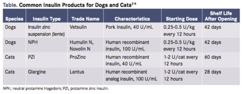 Diabetic Insulin Dosage Chart For Cats - Best Picture Of Chart Anyimage.Org