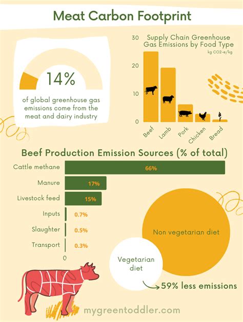 The Environmental Impact of Meat Production (It's big!)