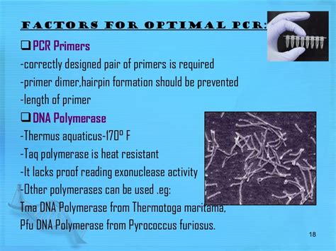 PCR and its types