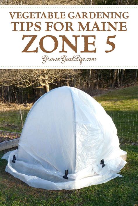 Vegetable Gardening Tips for Maine Zone 5 | Gardening tips, Vegetable ...