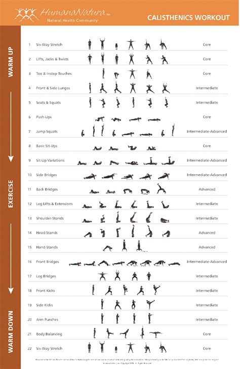 Calisthenics Poster | Exercise Chart for Full Body Workout