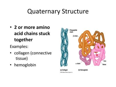 PPT - Proteins! PowerPoint Presentation - ID:2973187