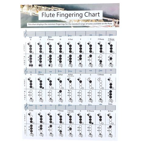 b flat major scale flute finger chart Flute notes chart with fingers