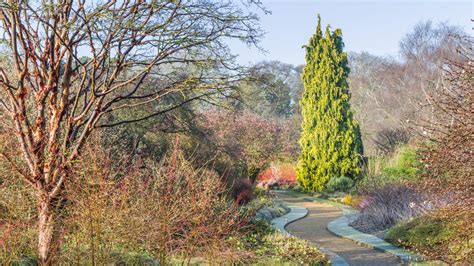 Welcome to Cambridge University Botanic Garden - Find Out More