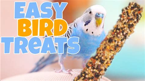 How to Make Easy Treats For Birds Under 3 Minutes! - YouTube