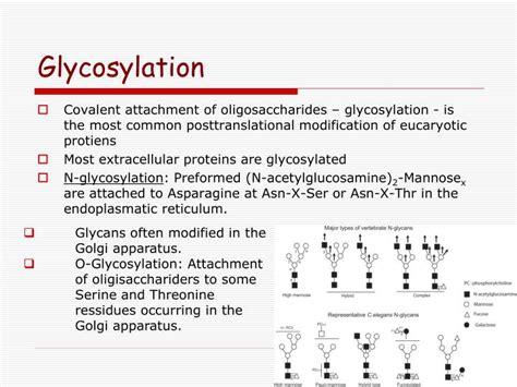 PPT - Physico-chemical aspects of protein glycosylation PowerPoint ...