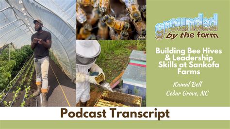 Buzzing About Bees, Grounded by the Farm, Episode 324 Transcript ...