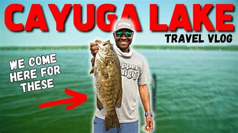 NEW YORK Is UNBELIEVABLE - Cayuga Lake Travel Vlog - YouTube