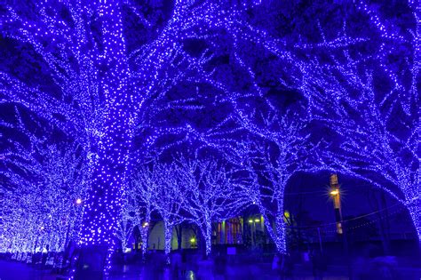 15 of the most spectacular Christmas lights in the world