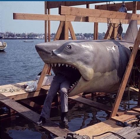 Rare photo of the original Bruce. | Shark, Jaws film, Classic films