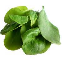 Spinach: A Superfood with Impressive Health Benefits