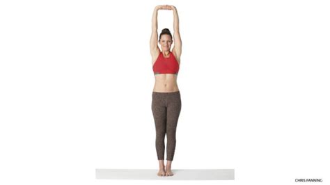 Raised Hand Pose (Urdhva Hastasana) – yogababu