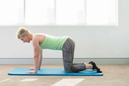 Quadruped Exercise | Pilates Exercises | Pilates Can