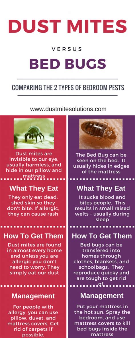 Think You Have Dust Mite Bites?...Think Again